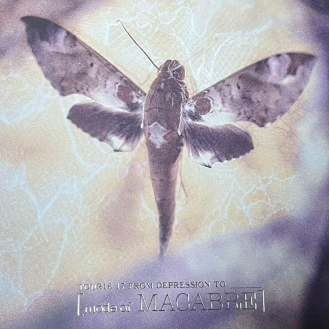 ミュージック DIRENGREY MACABRE DVD
