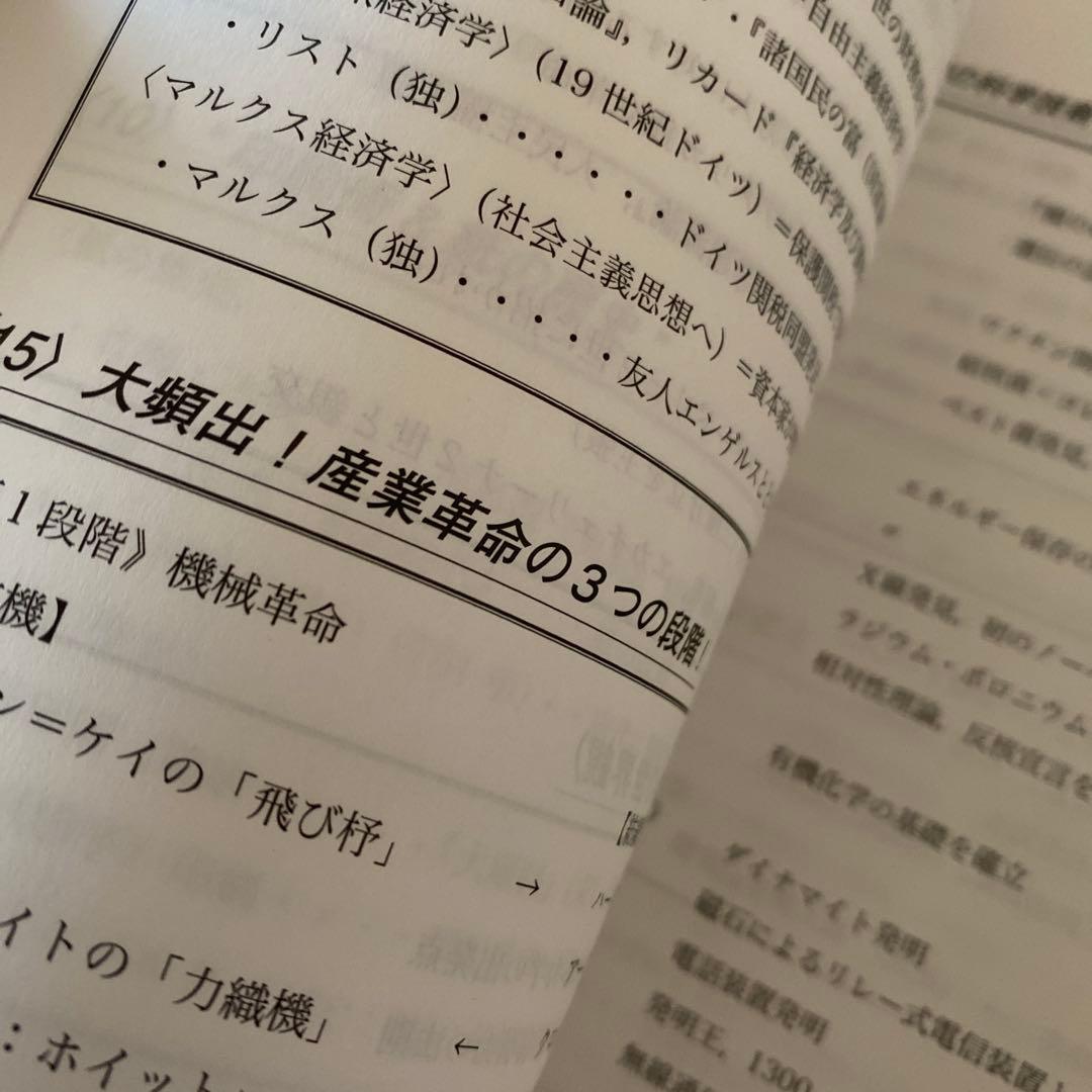 【ほぼ最新版】代ゼミテキスト 受験世界史最後の救世主 佐藤幸夫 2025年