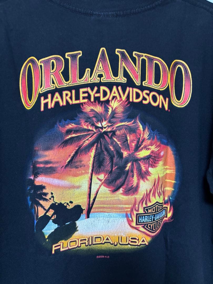 k*a様 【24時間以内発送】HARLEY-DAVIDSON Tシャツ　古着　ブ