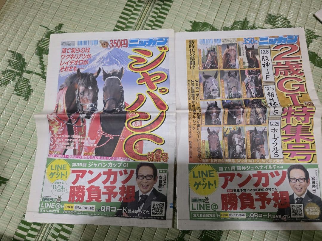 競馬特集号 G1レース特集号2019