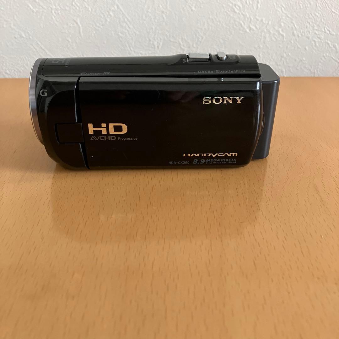 ビデオカメラ SONY HANDYCAM HDR-CX8.9