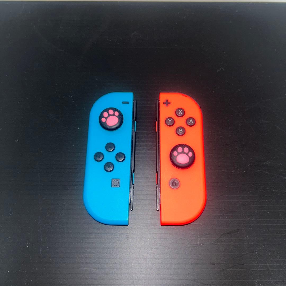 ニンテンドースイッチ ドッグ付　連写コン付き