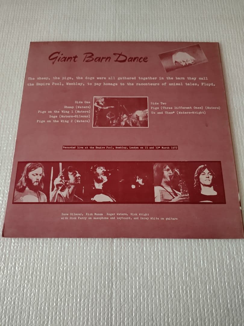★ピンク・フロイド★PINK FLOYD★GIANT BRAIN DAMAGE