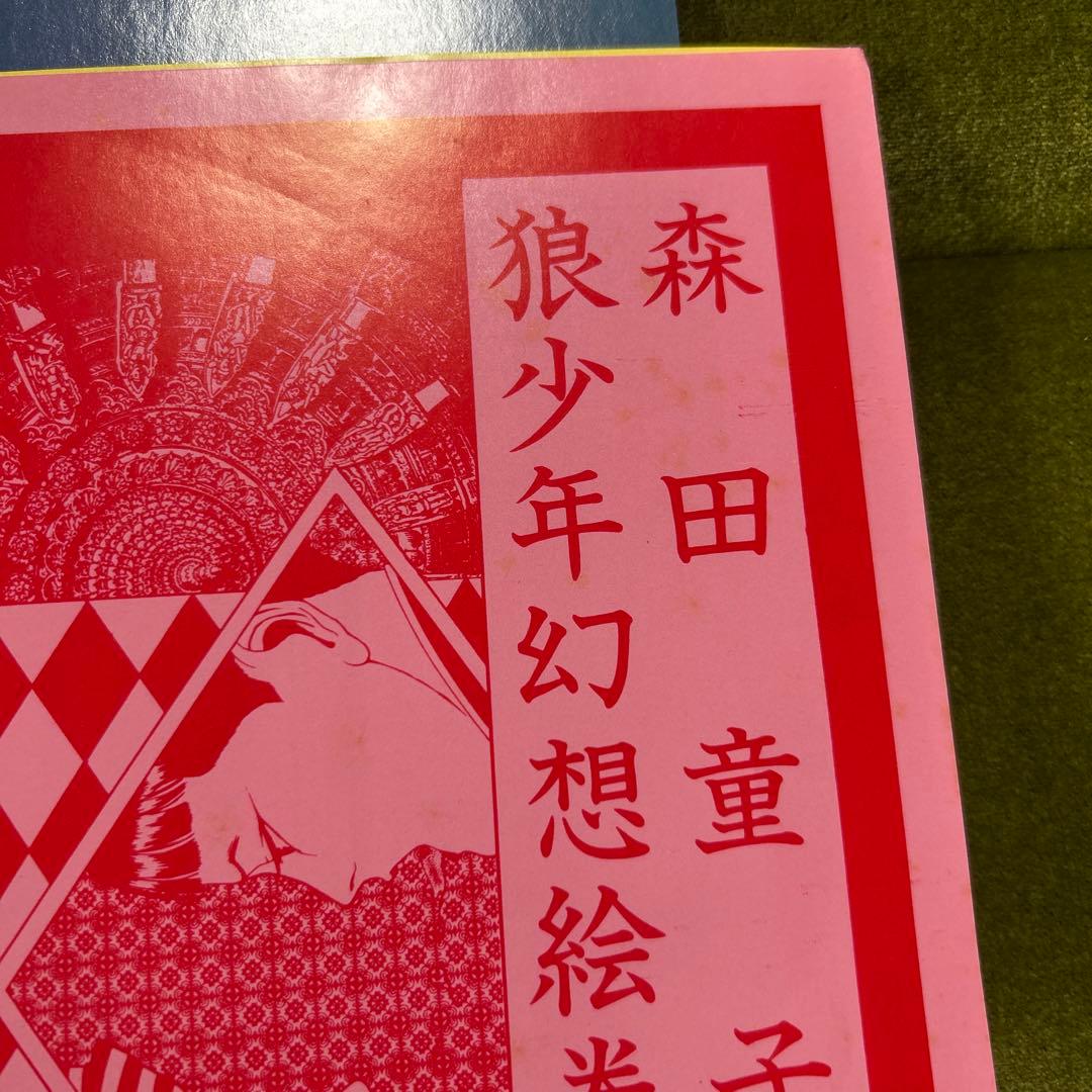 森田童子 狼少年 LPレコード　L-12547