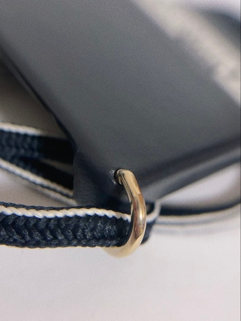 ChristianDior iPhone13pro スマホケース　黒