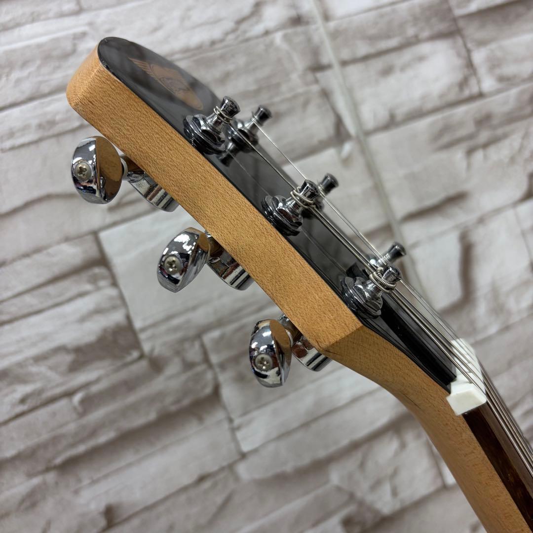 美品 Pignose ピグノーズ アンプ内蔵 ミニギター PGG-200 SB