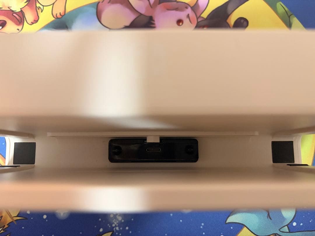 Nintendo Switch あつまれ どうぶつの森 特別デザイン　本体