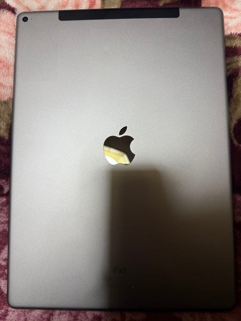 iPad Pro (12.9インチ) 256GB 第一世代