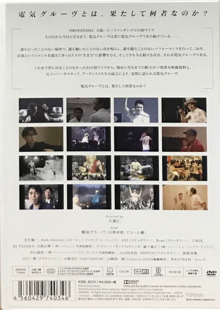 DENKI GROOVE THE MOVIE? 石野卓球 ピエール瀧 DVD