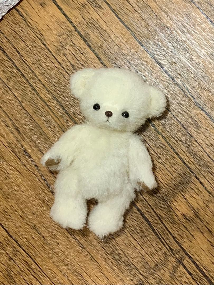 ai.house 白いままクマ