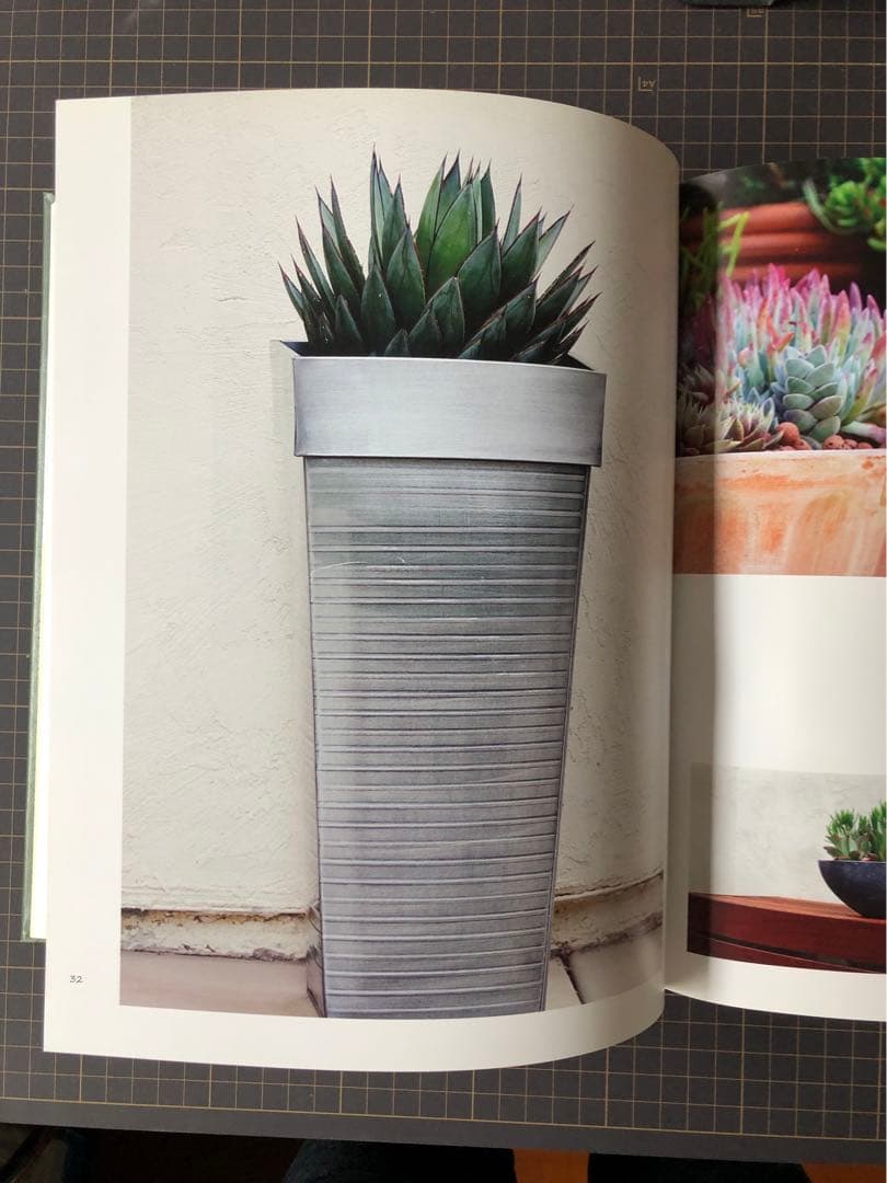 大型本 Ornamental Plants in the Landscape