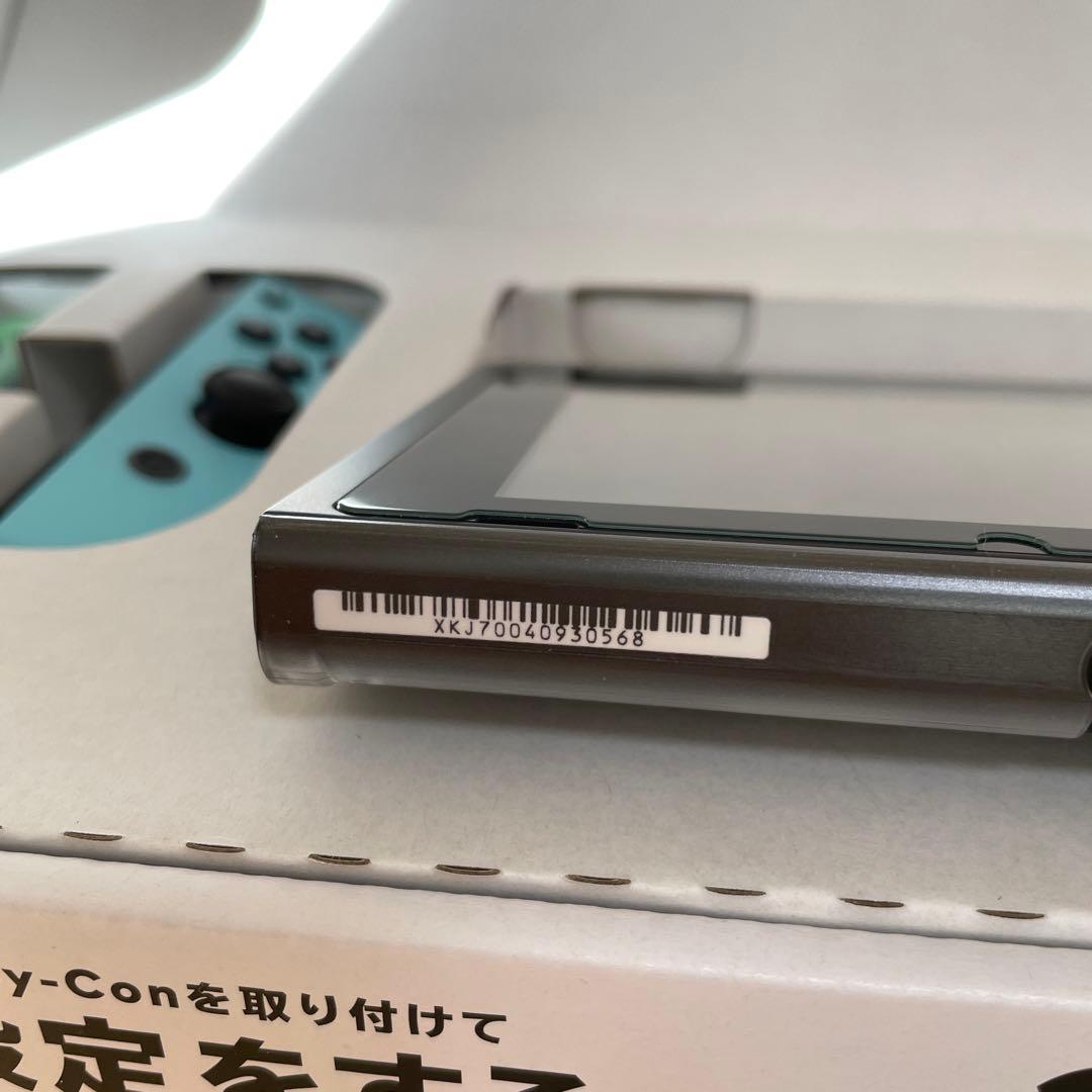 Nintendo Switchあつまれどうぶつの森セット+ケース