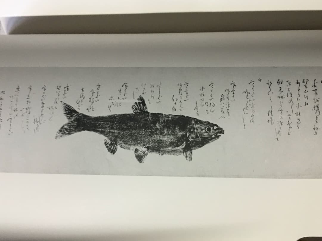 雲仙人作品集