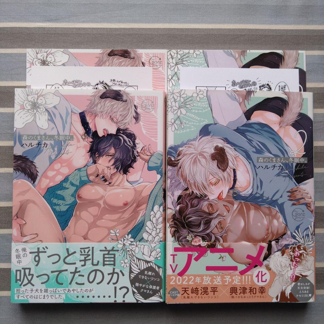 BL 森のくまさん、冬眠中。 ハルチカ 7冊セット
