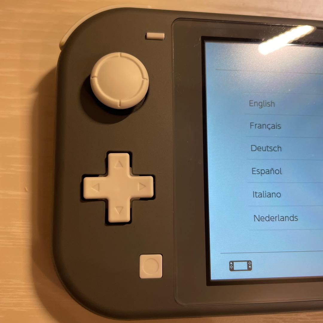 Nintendo Switch Lite 本体、充電器、ケースセット