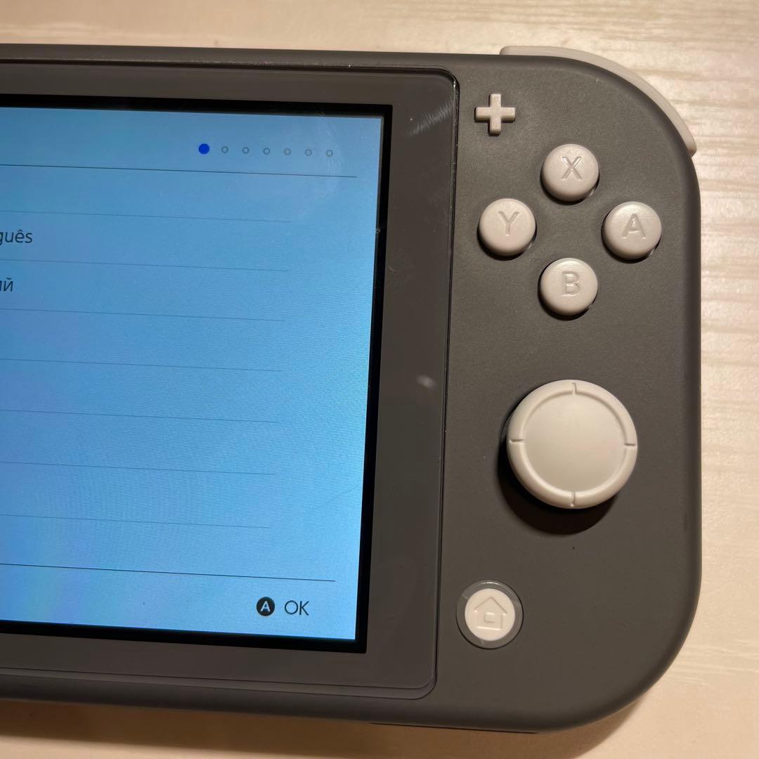 Nintendo Switch Lite 本体、充電器、ケースセット
