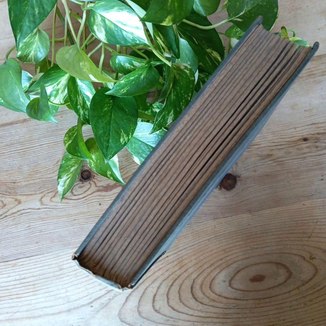 洋書古書　1923年　初版　希少　鳥図鑑　アンティーク　植物図鑑　画集　アート