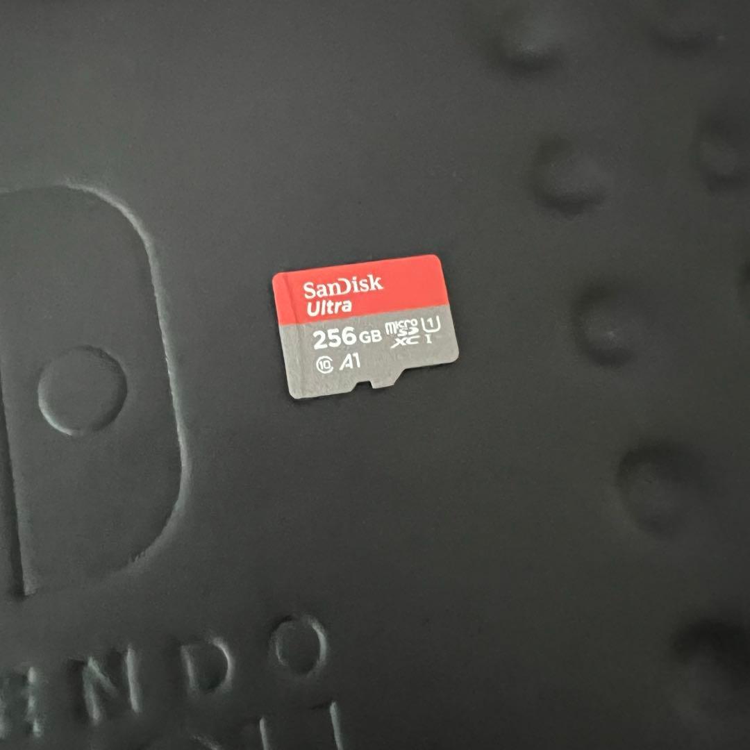 Nintendo Switch 本体 SDカード付