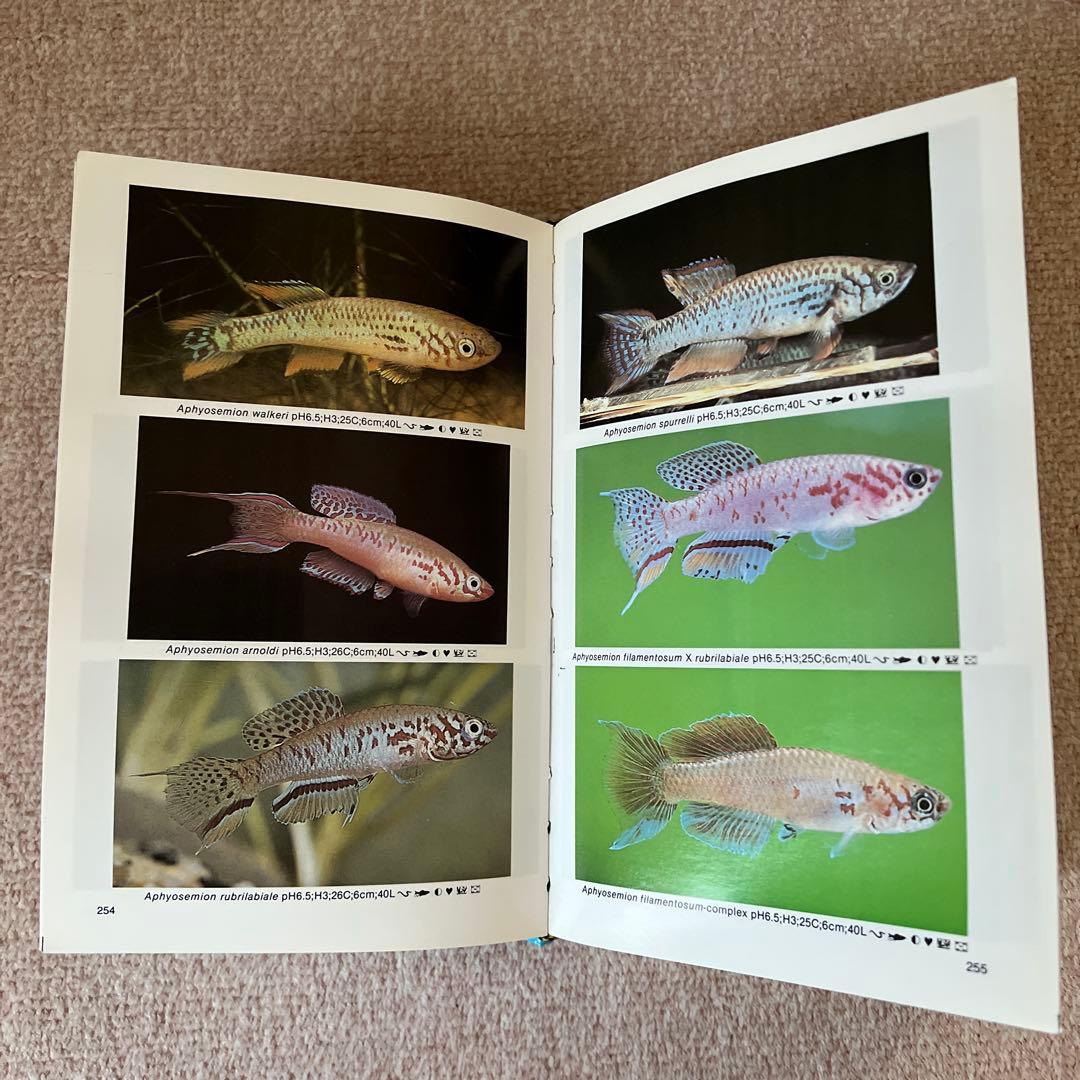 洋書　Dr. Axelrod's Mini-Atlas 淡水魚