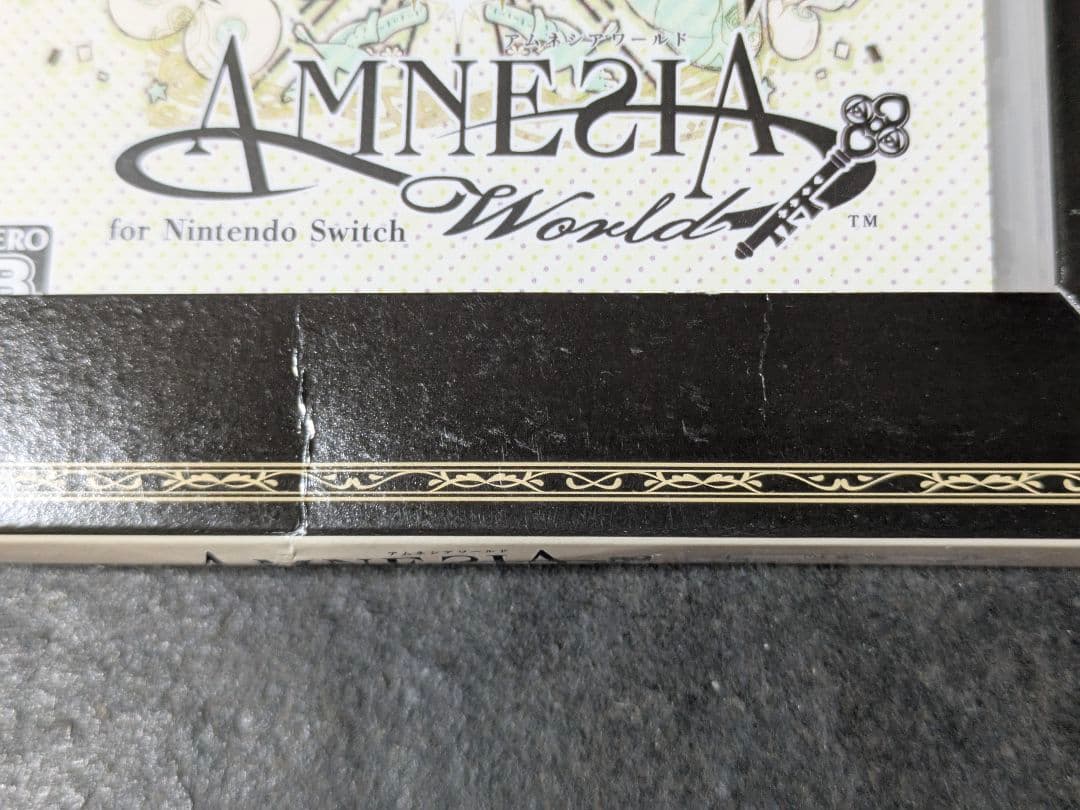 AMNESIA World Switch 限定版 訳あり