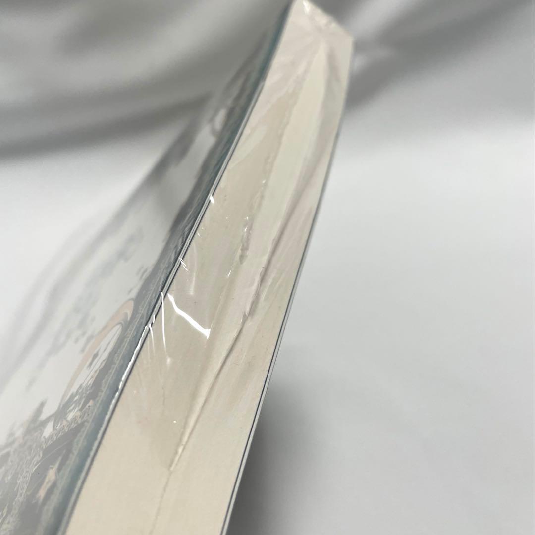 ある日、お姫様になってしまった件について 原作 韓国小説 全巻