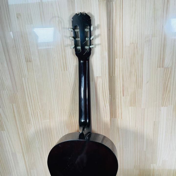 アコースティックギター　G-100