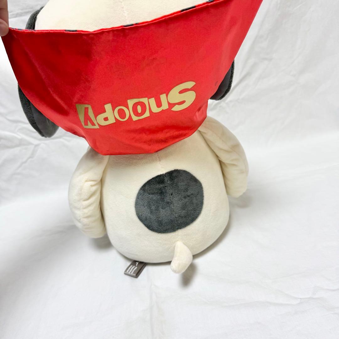 【PEANUTS】スヌーピーメディシンボール ウェアグラースィズ