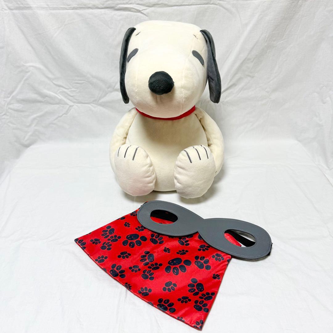 【PEANUTS】スヌーピーメディシンボール ウェアグラースィズ