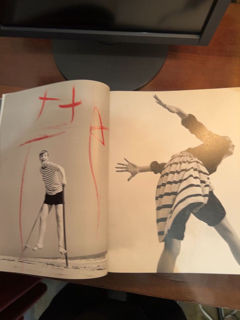 Avedon Fashion 洋書　写真集　vogue 服飾　装苑　アート 歴史