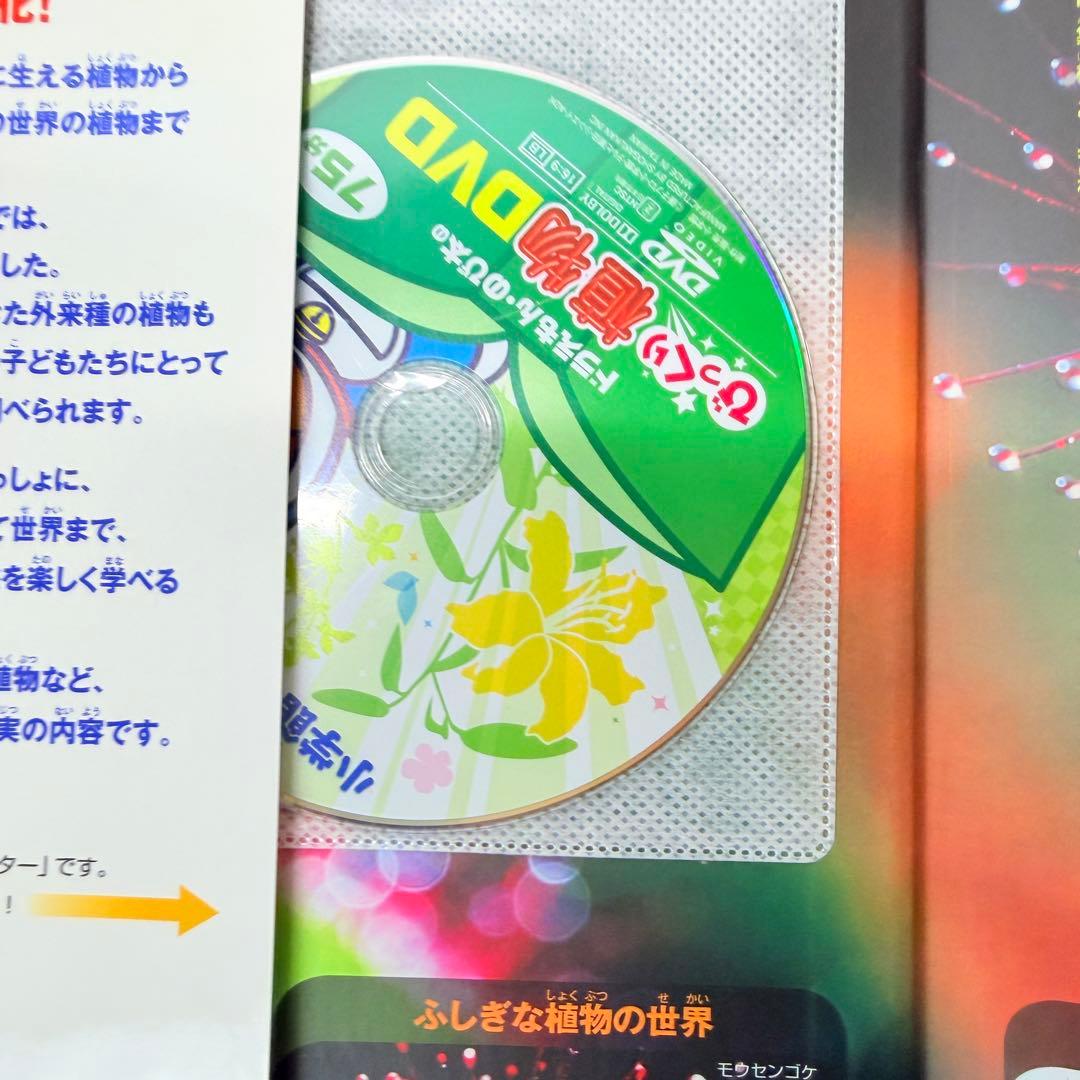 DVD付き　小学館の図鑑 neo 8冊セット