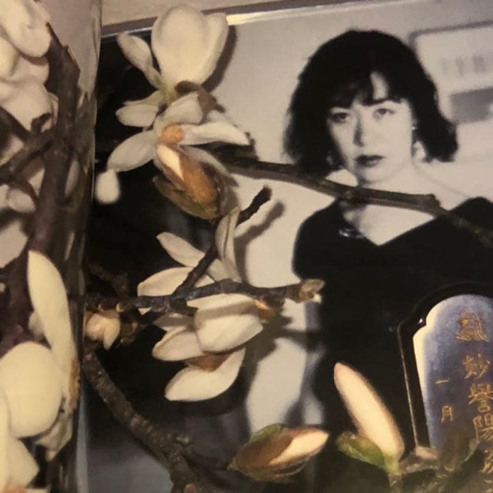 希少！荒木経惟 写真集 「好色 」500部限定 帯付 絶版 アラーキー