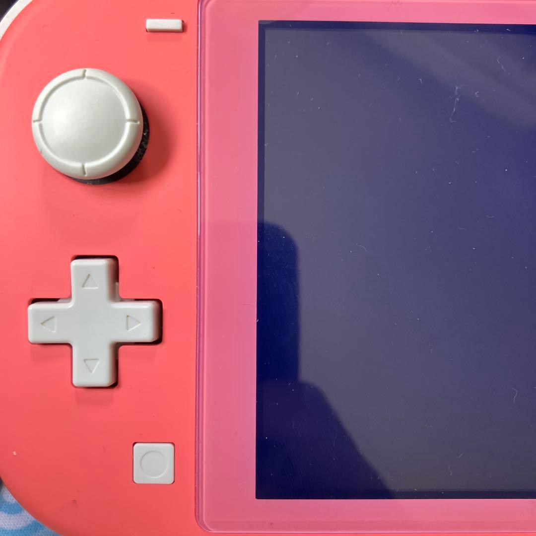 【動作確認済み】Nintendo Switch Lite 充電器あり