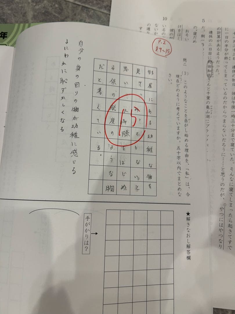サピックス　５年　国語　１年分全て