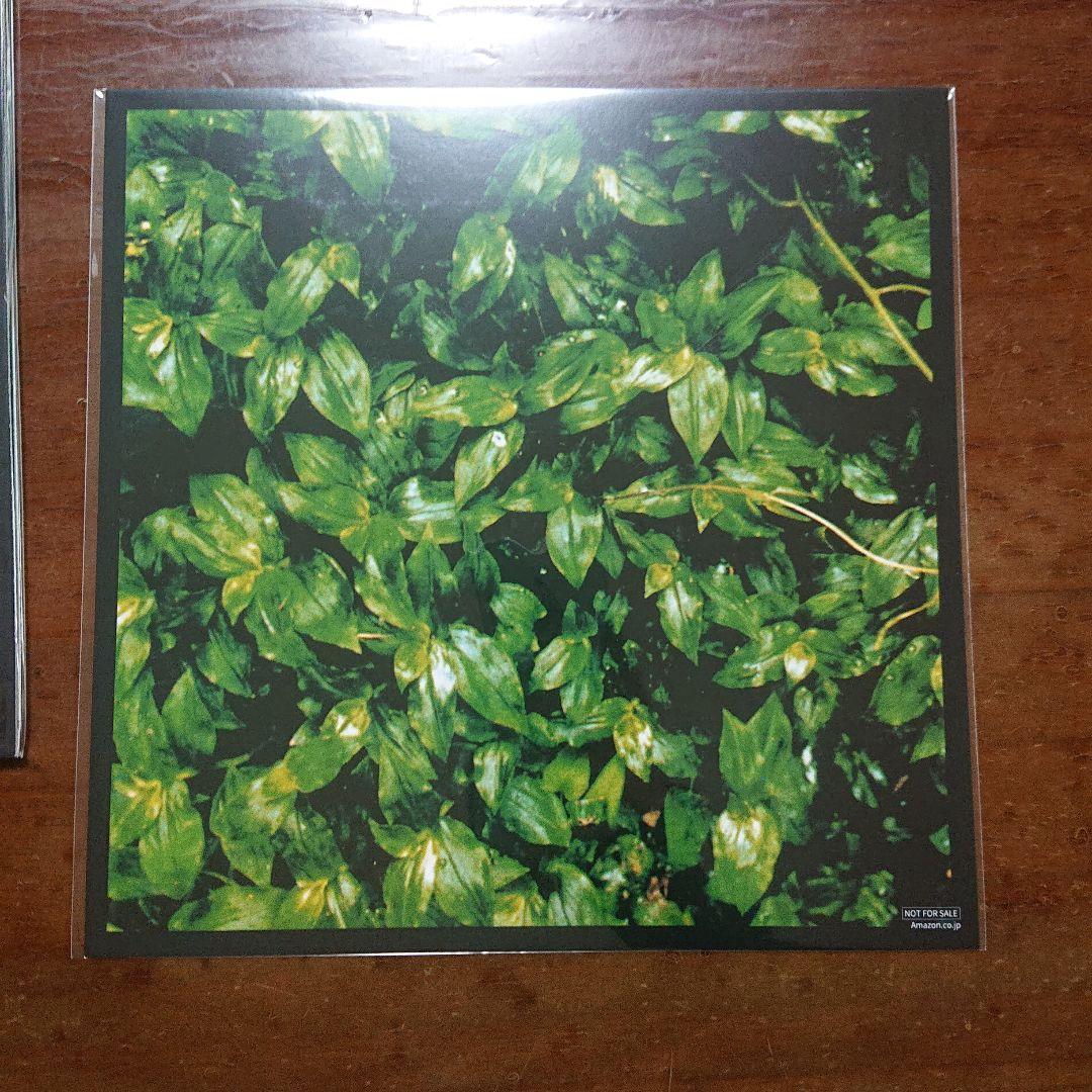 エレファントカシマシ　ココロに花を　LP　レコード　メガジャケ付き　宮本浩次