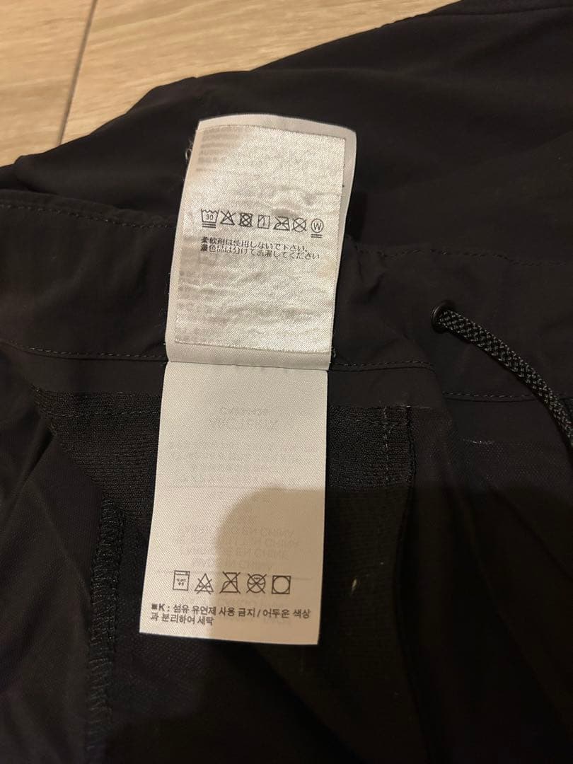 アークテリクス ARC'TERYX System_A カーゴパンツ L 激レア