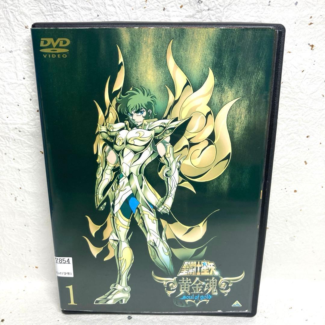 聖闘士星矢　黄金魂〜soul of gold 〜　全6巻