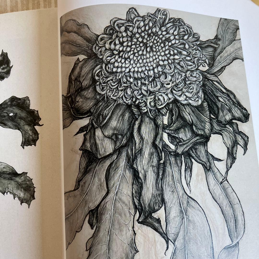 五木玲子画集　天の花　地の花