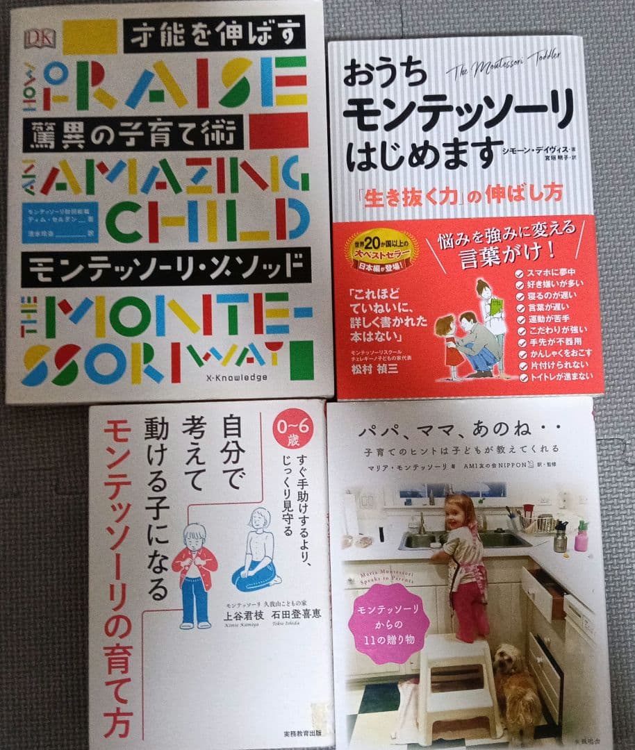 元モンテッソーリ教師秘蔵の教育書セット全１９冊