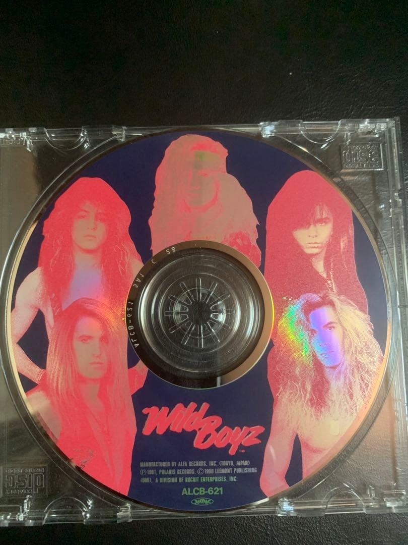 洋楽 wild boyz
