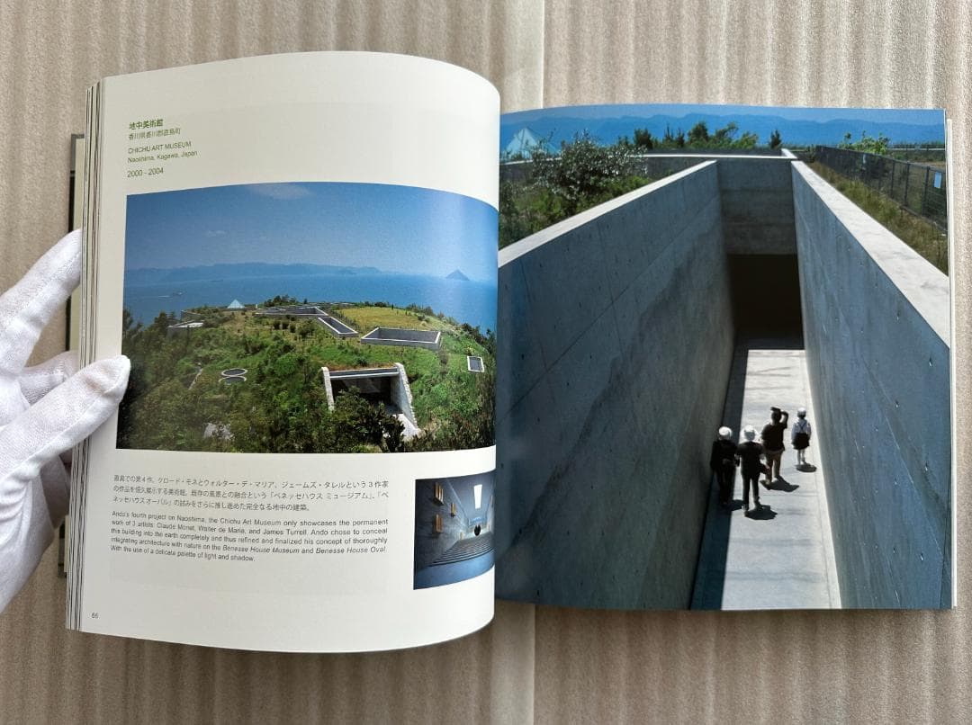 TADAO ANDO YOUTH 安藤忠雄 サイン入り＋ドローイング光