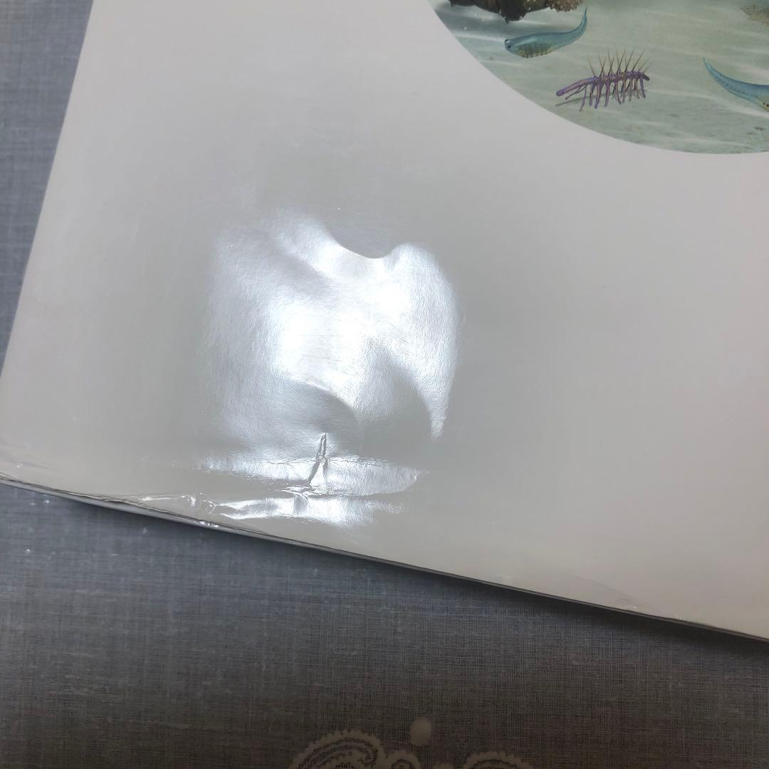 講談社の動く図鑑ＭＯＶＥ　WONDER MOVE　まとめ　19冊　全てDVD付き