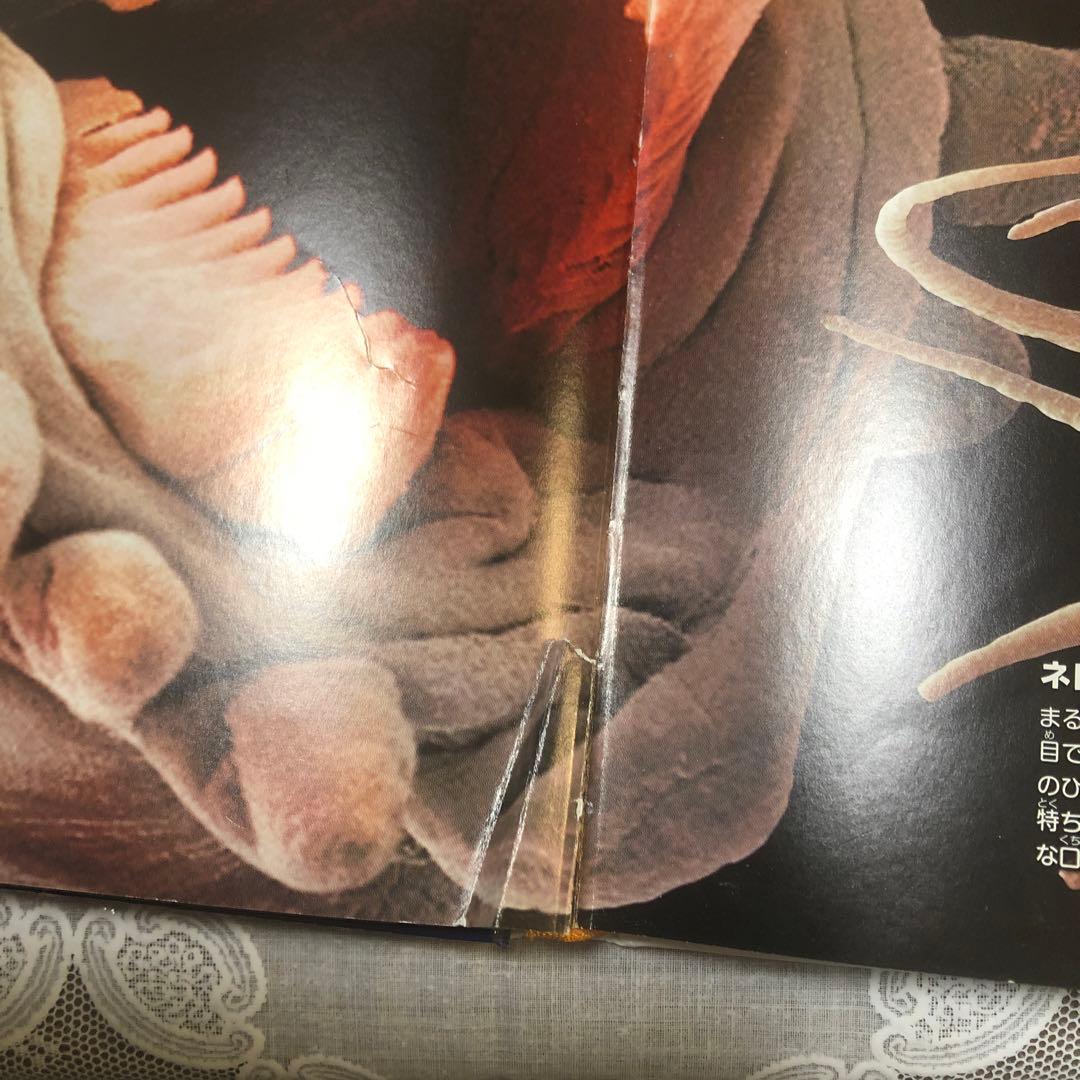 講談社の動く図鑑ＭＯＶＥ　WONDER MOVE　まとめ　19冊　全てDVD付き