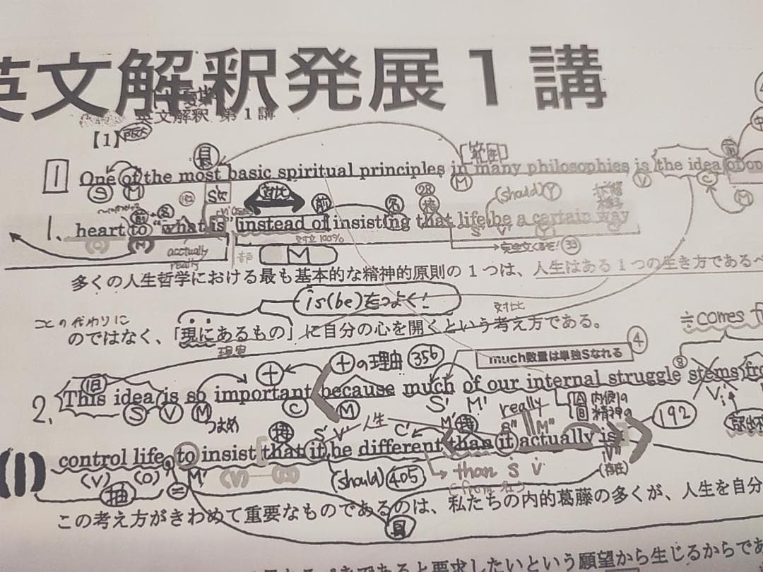 河合塾の24年登木先生のテーマ英文解釈発展夏期セット問題解説　駿台　鉄緑会　英語