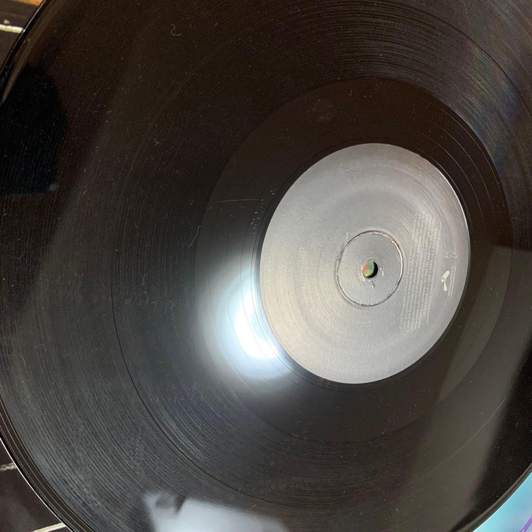 HOT CHIP THE WARNING 名盤 レコード ホットチップ LP