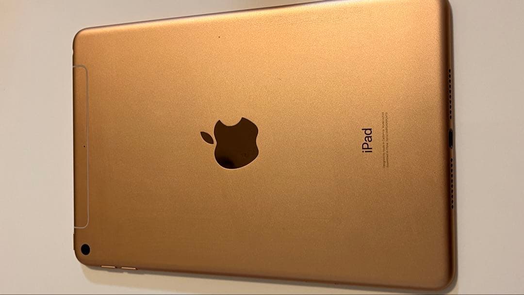 Apple iPad mini 5 64GB バッテリー96%