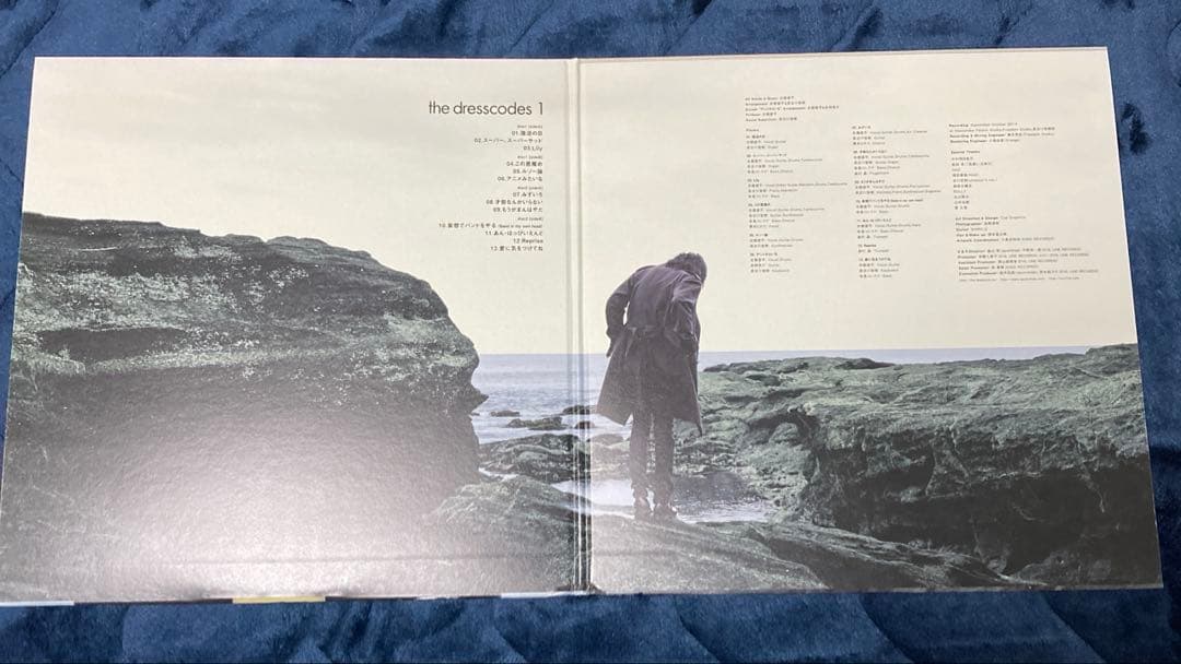 LP ドレスコーズ 1 1stプレス 2枚組