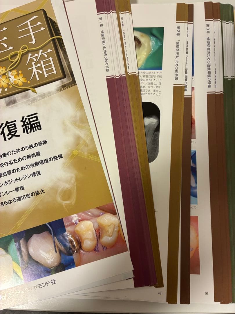 【裁断済】臨床の玉手箱 保存修復編
