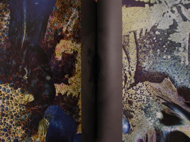AM Projects 3AM 横田大輔 Daisuke Yokota
