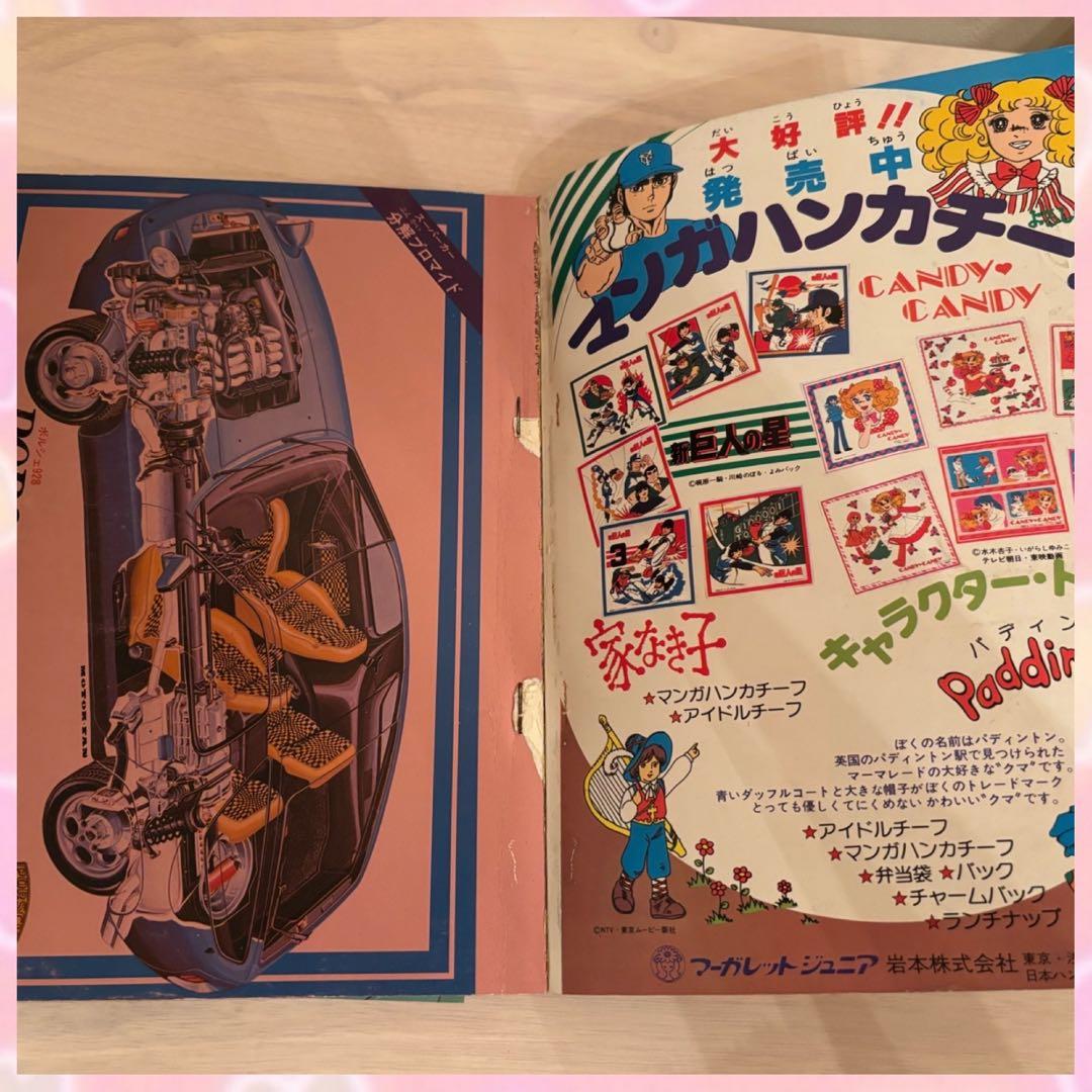 テレビランド 1978年　3月号