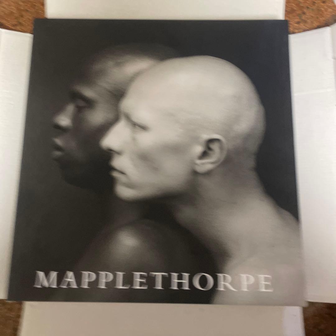 アート・デザイン・音楽 MAPPLETHORPE mapplethorpe